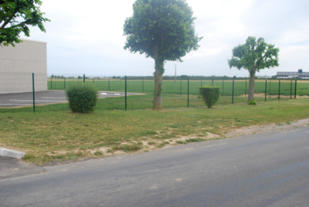 coupe-de-pelouse-en-bordure-de-route