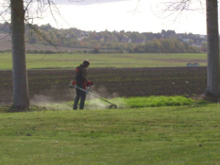 debroussaillage-bordure-terrain