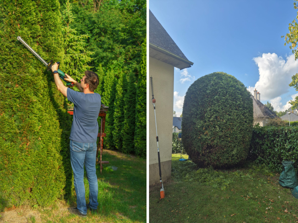 taille-arbuste-en-boulle